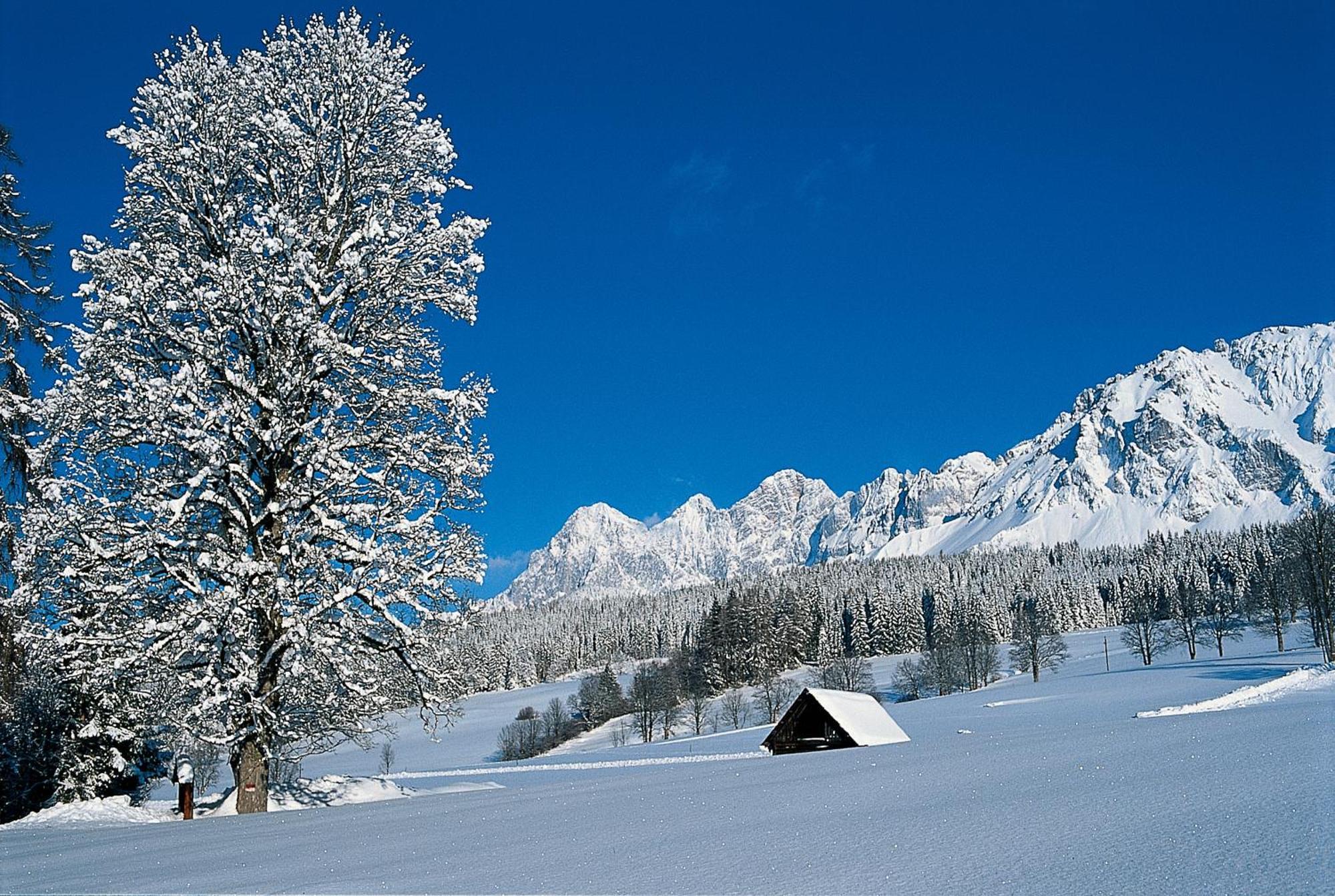 Bio-Holzhaus Und Landhaus Heimat ラムサウ・アム・ダッハシュタイン エクステリア 写真