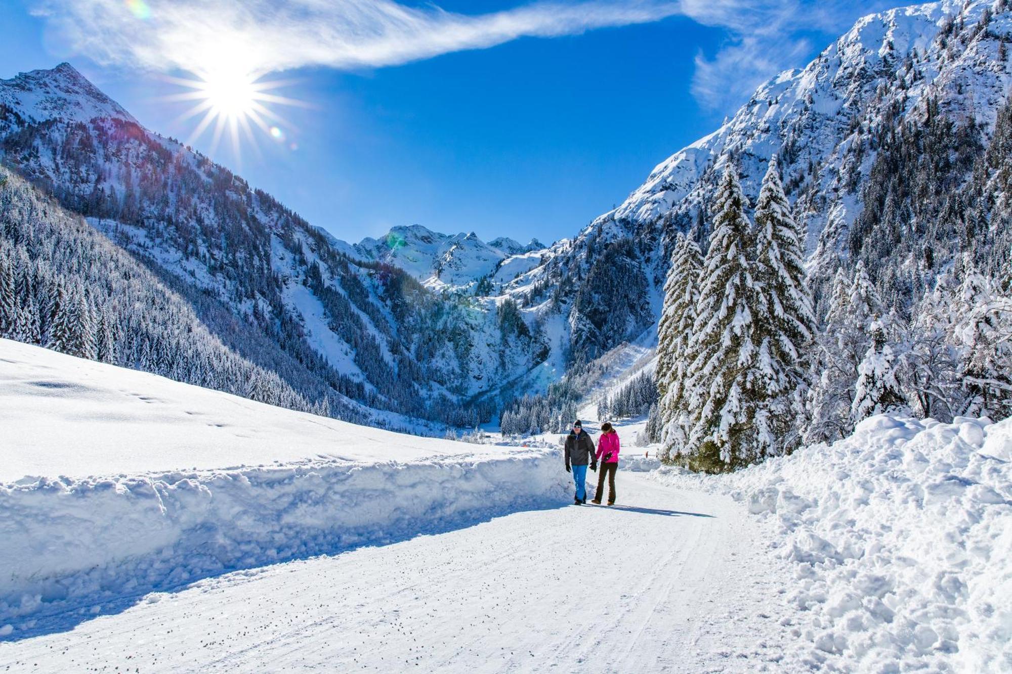 Bio-Holzhaus Und Landhaus Heimat ラムサウ・アム・ダッハシュタイン エクステリア 写真