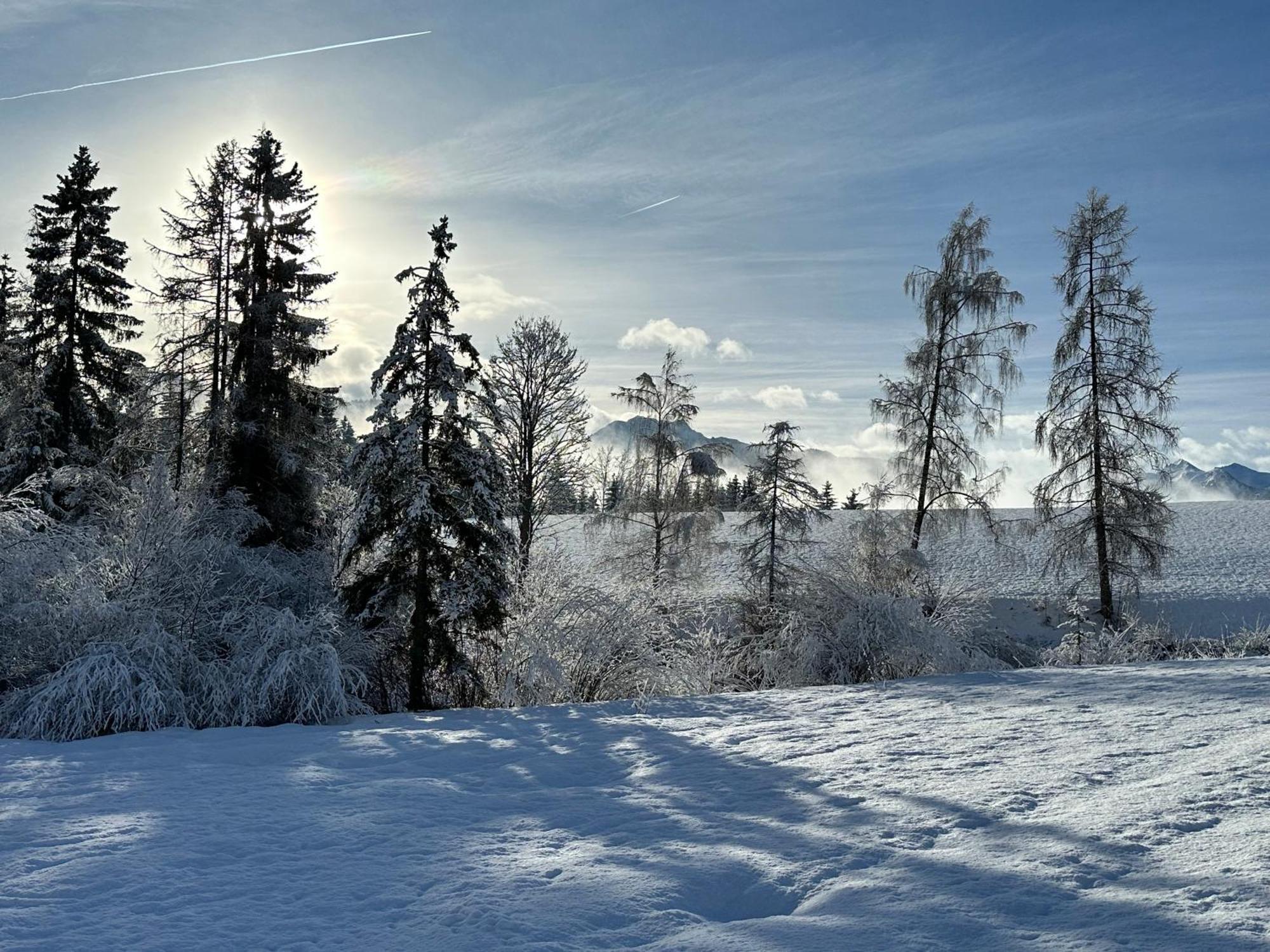 Bio-Holzhaus Und Landhaus Heimat ラムサウ・アム・ダッハシュタイン エクステリア 写真