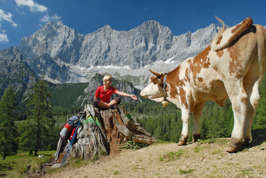 Bio-Holzhaus Und Landhaus Heimat ラムサウ・アム・ダッハシュタイン エクステリア 写真